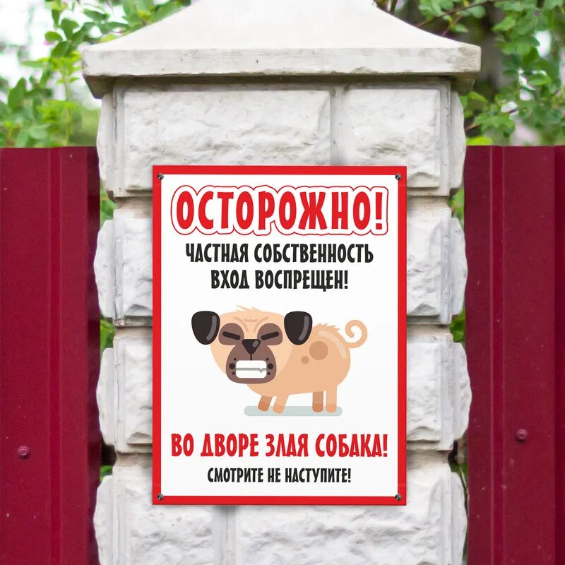 Во дворе собака табличка. Табличка "злая собака". Во дворе злая собака табличка. Табличка злая собака прикольная. Вывески во дворе