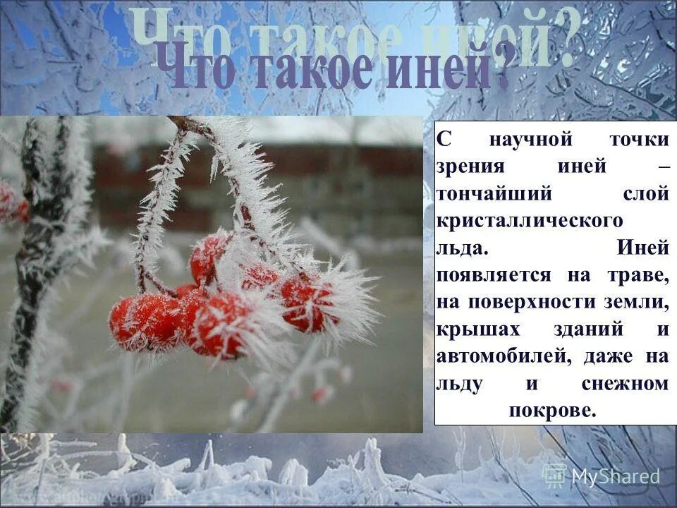 Почему на стекле образуется иней. Что такое иней объяснение. Иней это для детей 2 класса. Образование инея окружающий мир. Сообщение про иней.