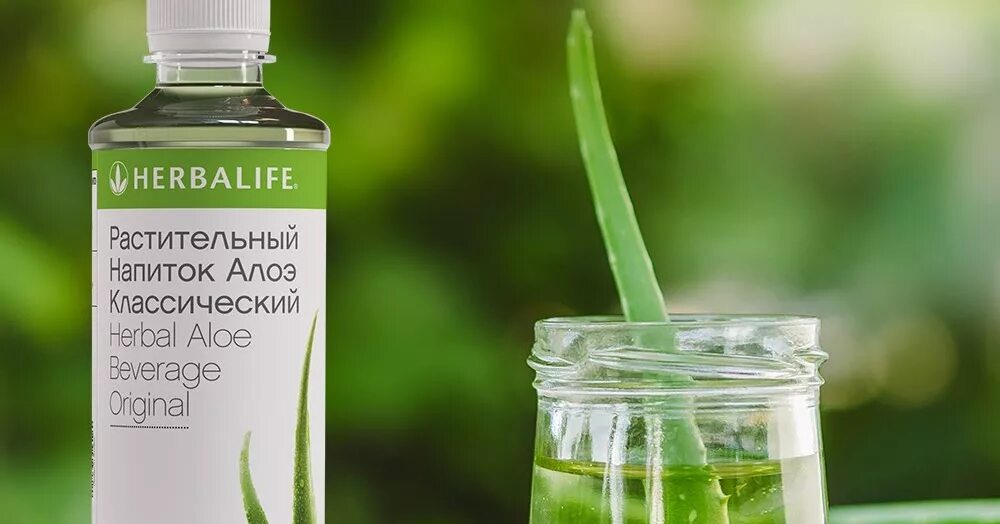 Алоэ напиток Herbalife. Алоэ шизандра Гербалайф.