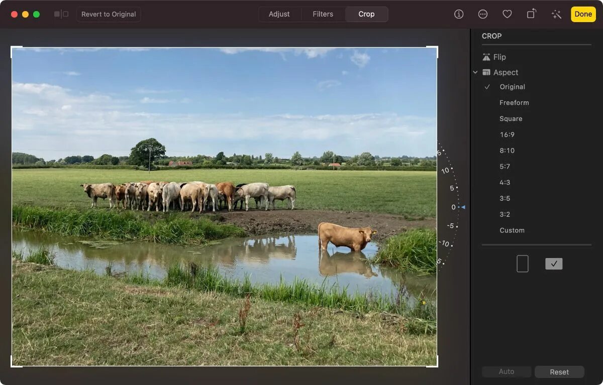 How to crop