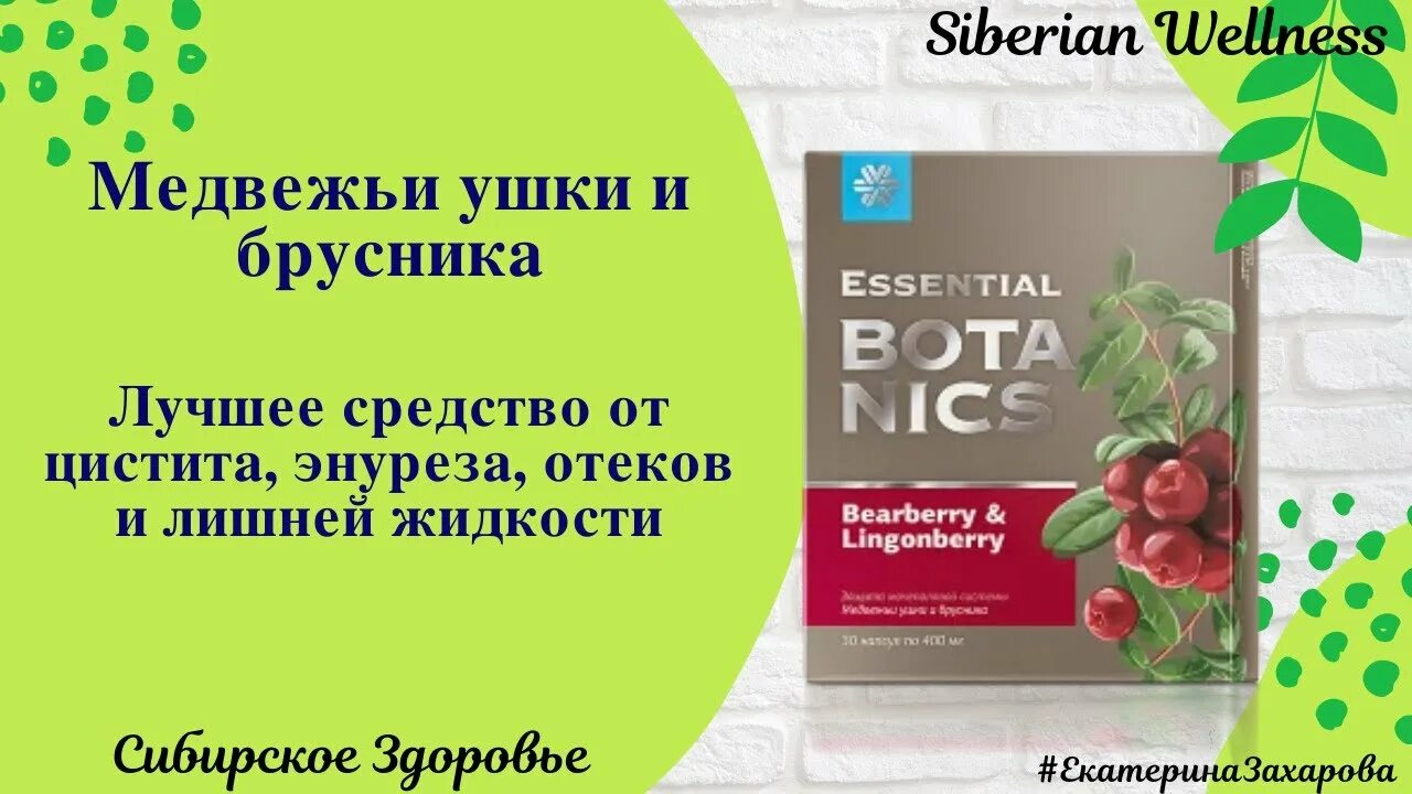 Медвежьи ушки и брусника essential botanics инструкция. Медведь ушки и брусника Сибирское здоровье. Медвежьи ушки Siberian Wellness. Медвежье ушко и брусника Сибирское здоровье. Сибирское здоровье Siberian Wellness.