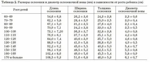 Нормы почек по узи у взрослых