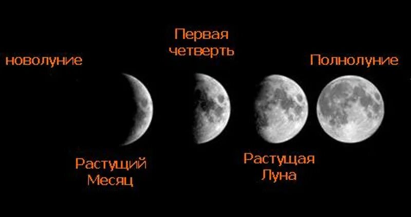 В течение месяца проведите наблюдения. Как выглядит новолуние. Новолуние и полнолуние. Наблюдение за луной в течение месяца. Отличие новолуния от полнолуния.