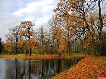 Осень новой