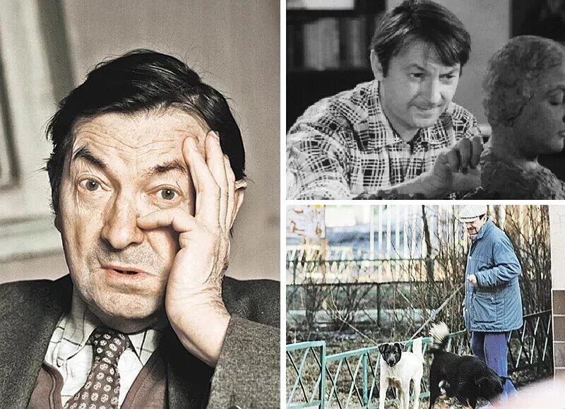 Биография вицина георгия. Биография вицина георгия. Биография вицина георгия. Биография вицина георгия. Биография вицина георгия.