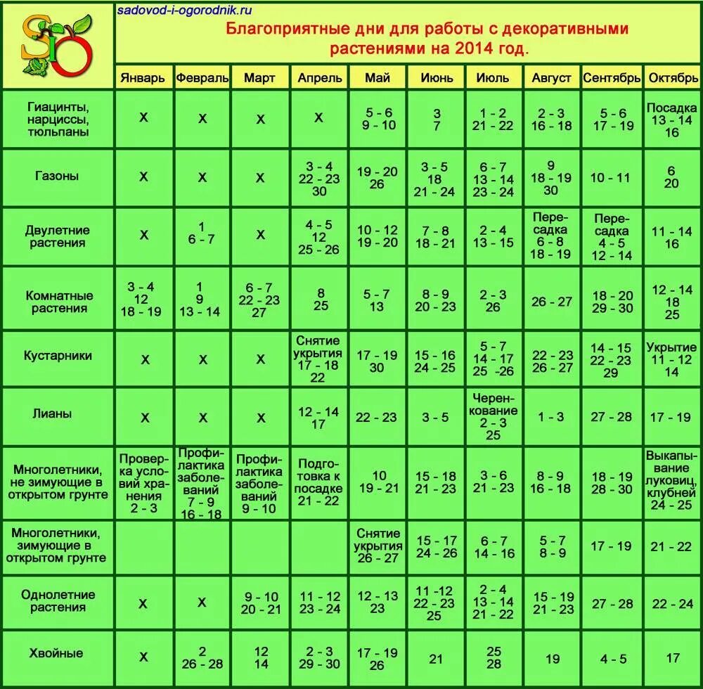 Лунный календарь когда сажать цветы. Благоприятные дни для пересадки комнатных растений. Благоприятный день для посева цветов комнатных. Удачные дни для пересадки комнатных растений. Благоприятные дни для пересадки домашних цветов.