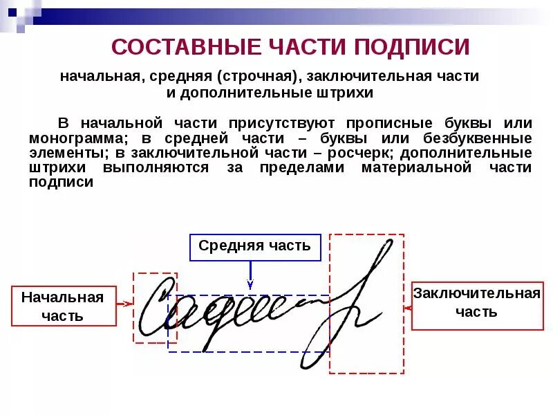 Сайт делает подпись. Графическая подпись. Элементы для подписи. Части подписи. Виды подписей.