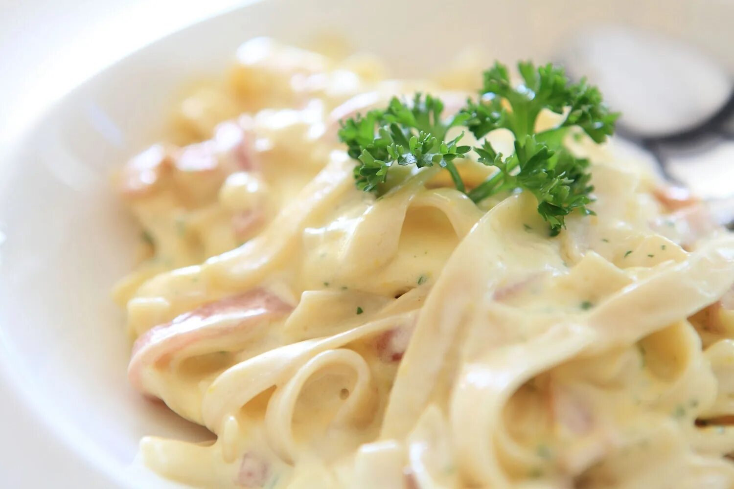 Макароны с подливкой. Подлив из сметаны к макаронам. Макароны со сметаной. Cream alfredo паста. Подлив из сметаны к макаронам.