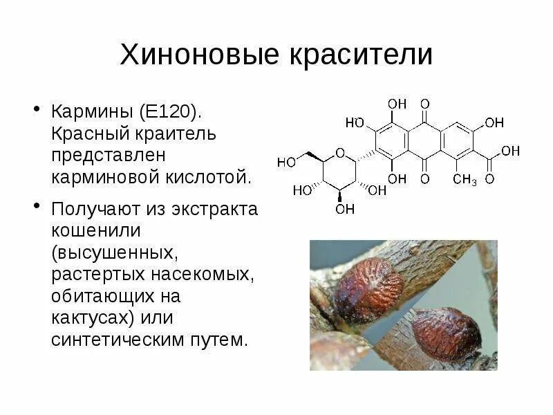 Е120 пищевая добавка из чего состоит. Что такое краситель кармин е120. краситель е120 кошениль. хиноновые красители. красный краситель е120.
