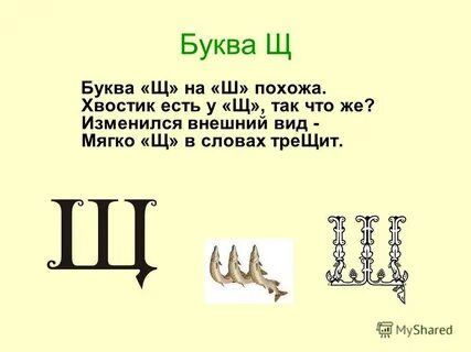 Слова последняя буква щ