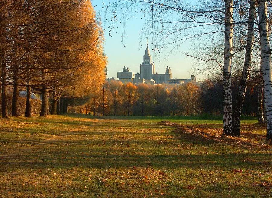 Октябрь. Осень в Москве МГУ. Московский гуманитарный университет осень. Москва МГУ осенью. Москва территория МГУ осень.