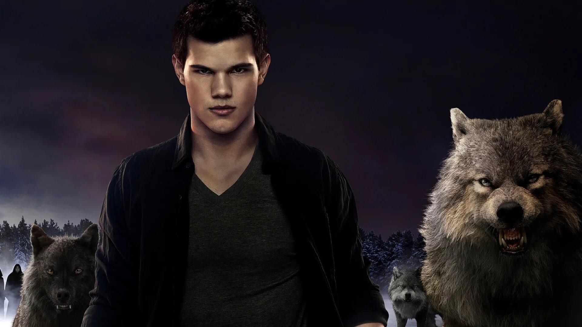 сумерки оборотень джейкоб. волк в доме сумерки. джейкоб блэк оборотень. сумерки сага затмение оборотни. волк в доме сумерки.