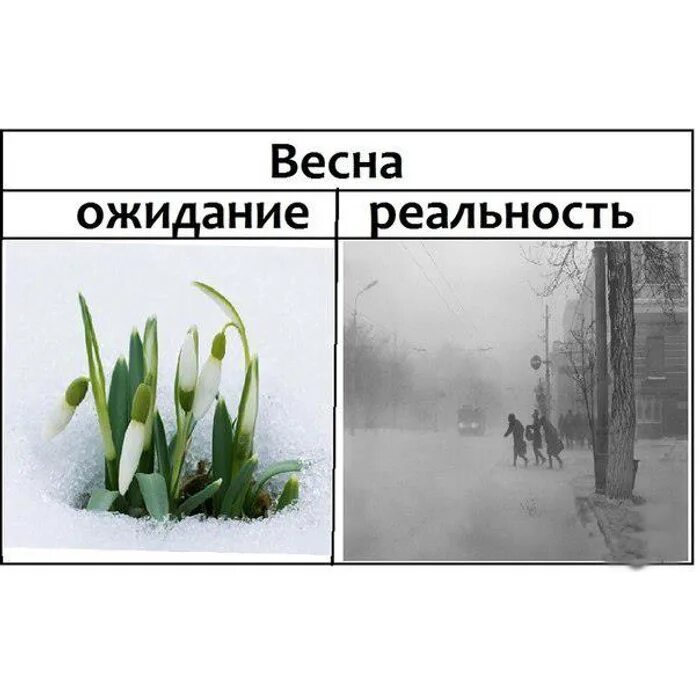 В россии март не всегда. Смешное про весну. Вена ожидание реальность.
