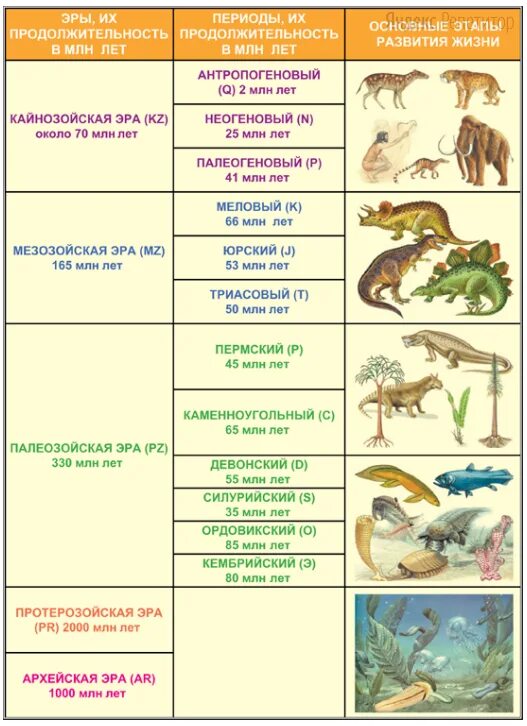 Перечислите эры. Эра Продолжительность эры млн лет таблица. Животный мир палеозойской эры таблица. Эры в истории земли в хронологическом порядке. Эры развития земли в хронологическом порядке.