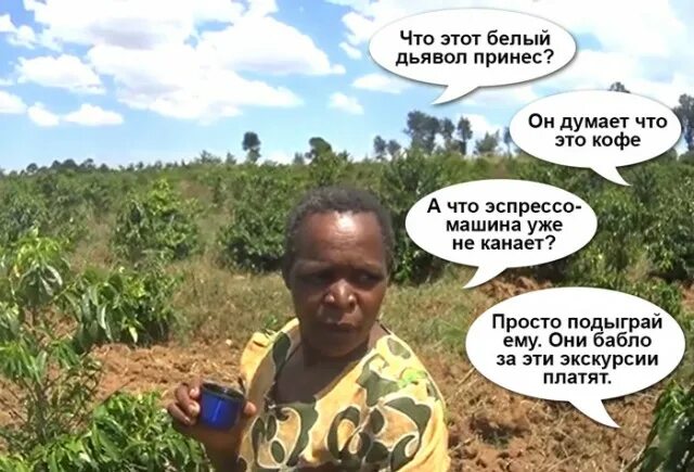 Негр на плантации мем Understanding Judge Davis’s dope judgment GroundUp