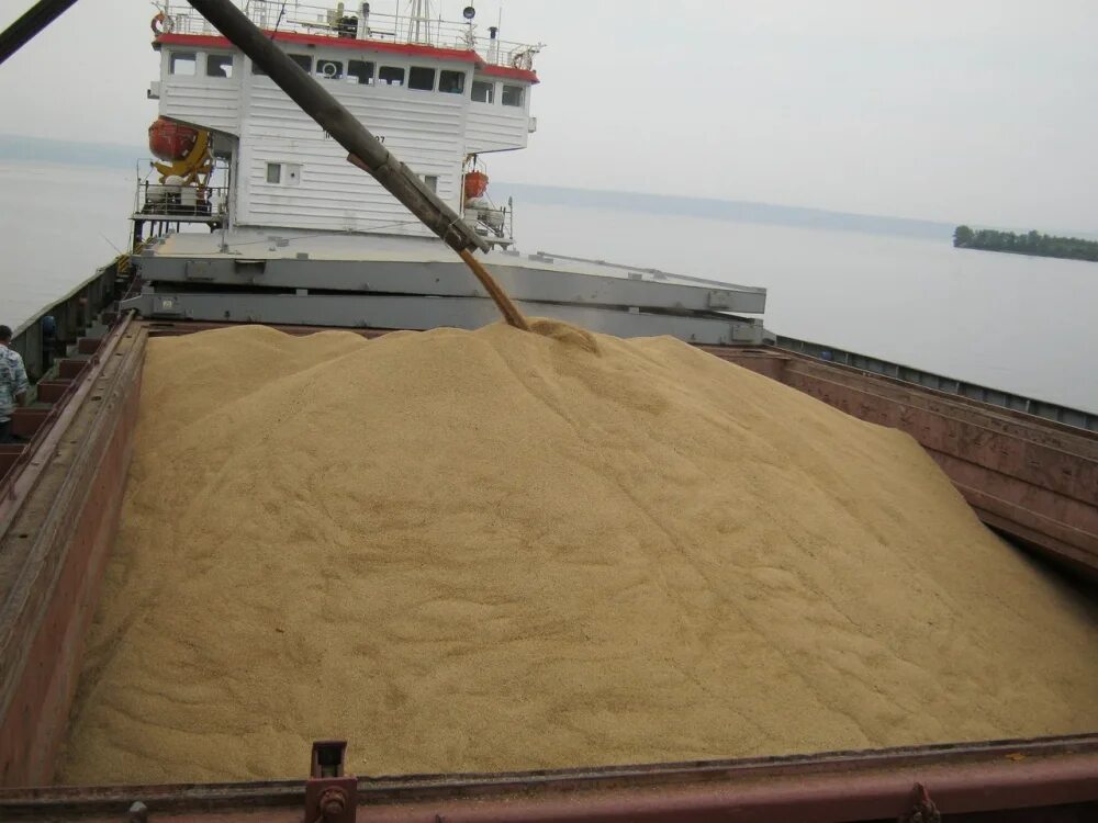 Погрузка зерна в порту. Баржа погрузка зерна. Погрузка пшеницы в порту. Перевалка зерна.