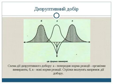 Норма реакции движущего отбора