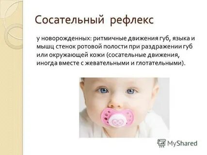 Сосательный рефлекс у детей
