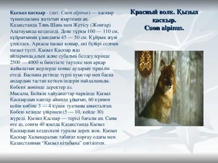 Хардкор көк порно