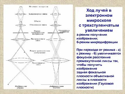 Ход лучей в микроскопе