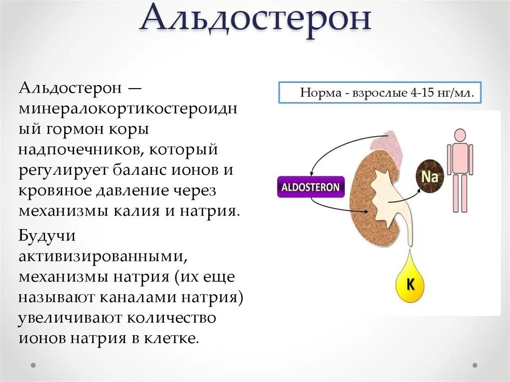 Надпочечники гормоны и функции альдостерон. Альдостерон железа функция. Альдостерон функции гормона. Регуляция гормона альдостерона.