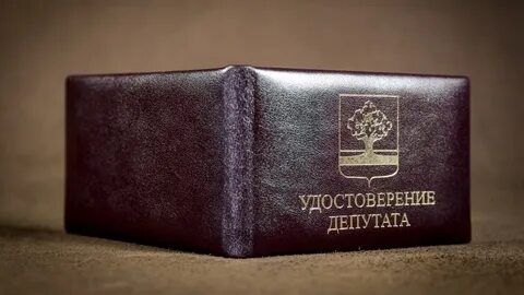Дума мандаты