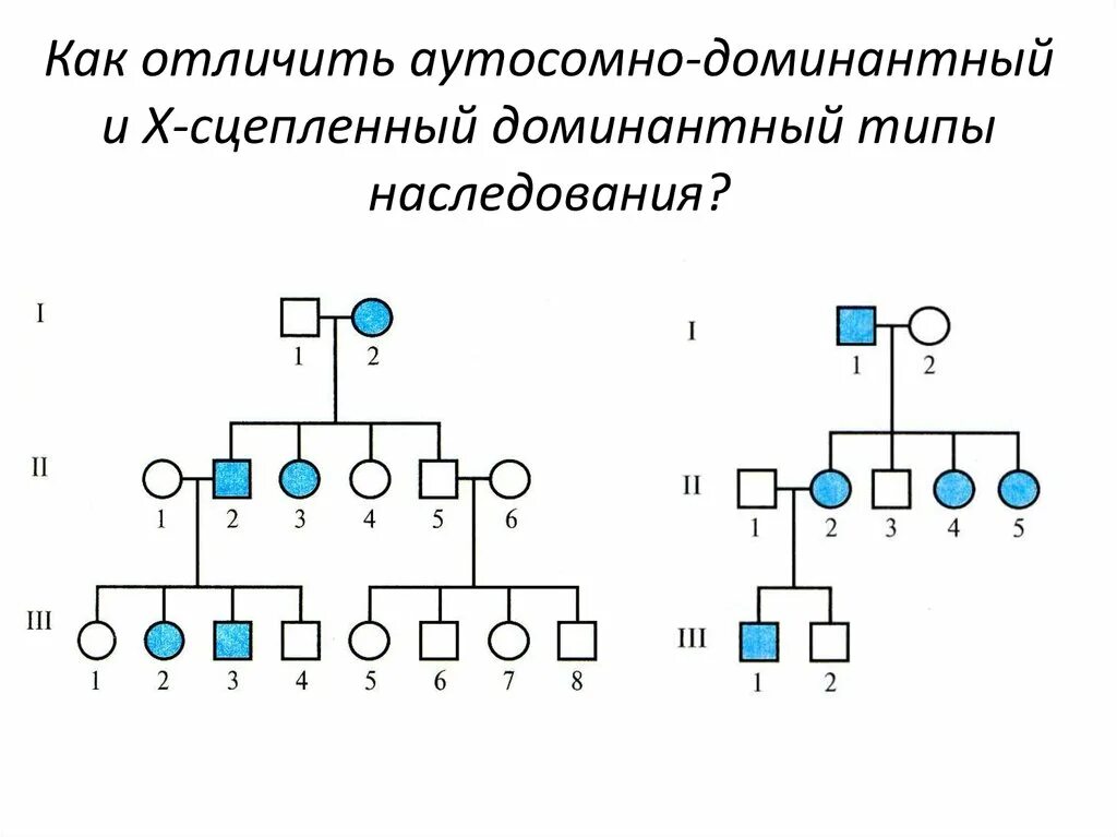 Рецессивно доминантный тип наследования. Аутосомно-доминантный Тип наследования схема. Голандрический Тип наследования схема. Аутосомно рецессивный родословная. Х сцепленный рецессивный Тип наследования родословная.