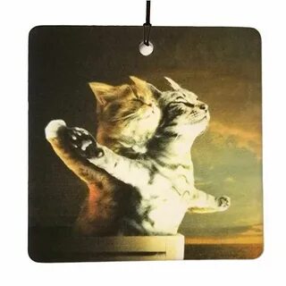 Включи номер котика