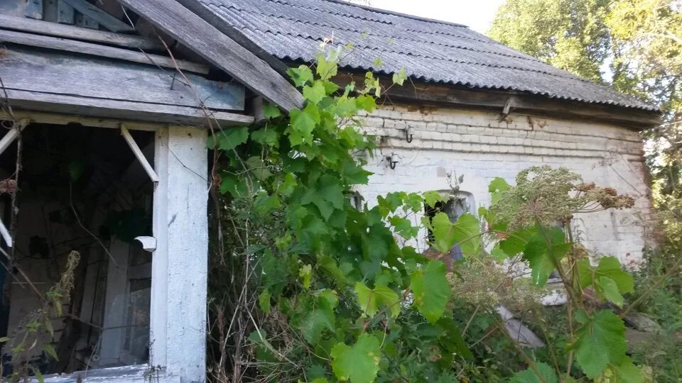 Деревня будоговищи тульская область белевский район фото Святой князь Александр Невский - славное имя России" 2021, Белевский район дат