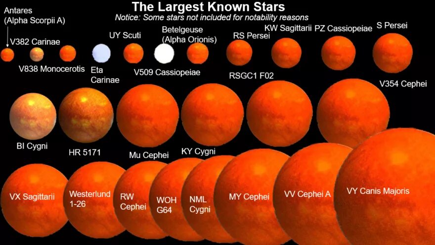 Largest star