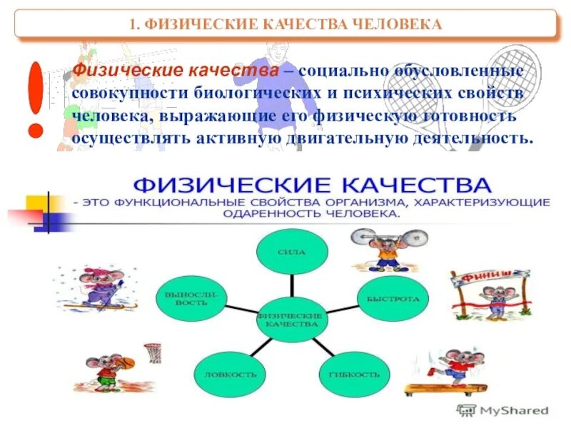 1 физические качества человека