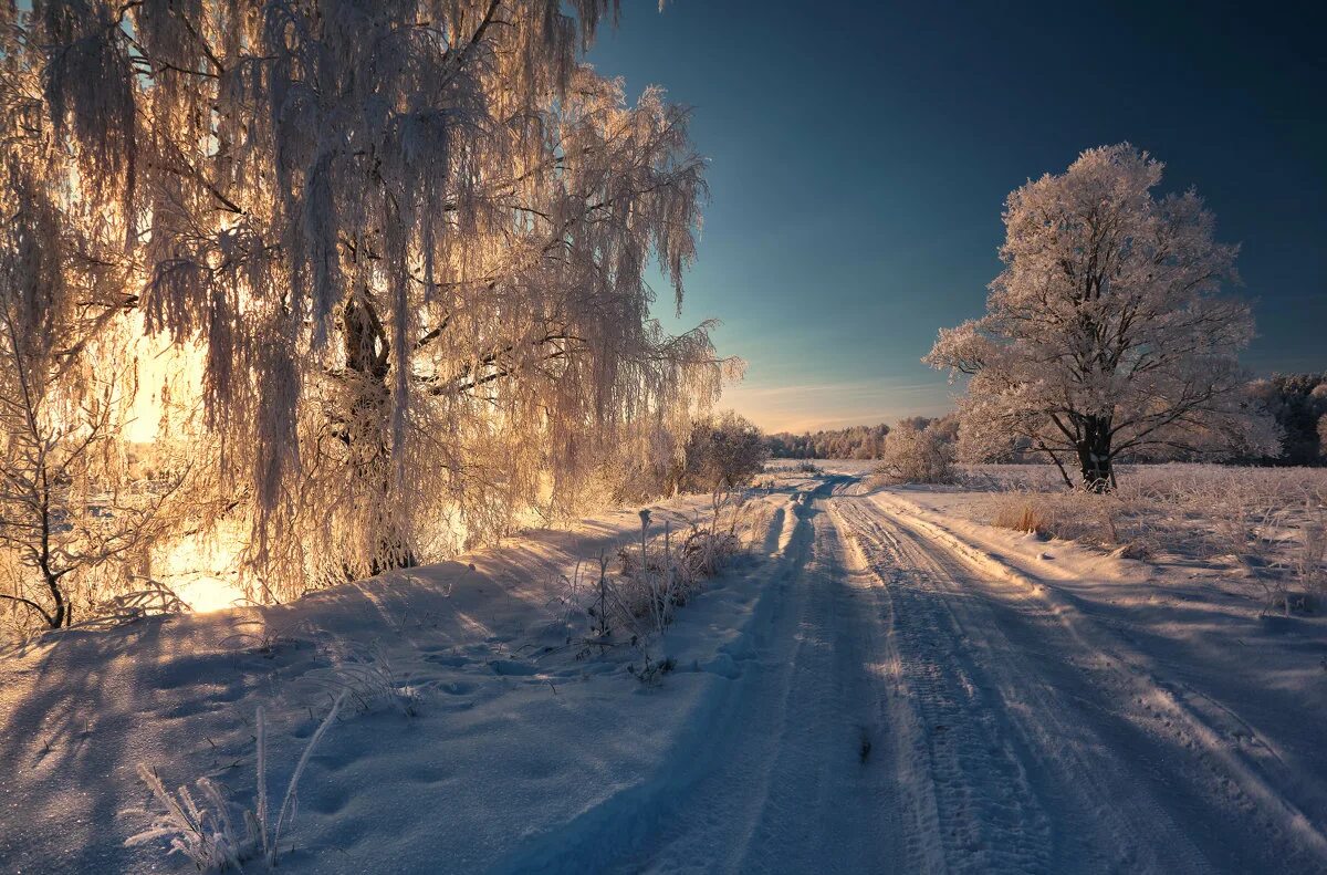 зимник картинки. временная зимняя дорога. северный дальнобой зимник. куст зимник. камаз оймякон.