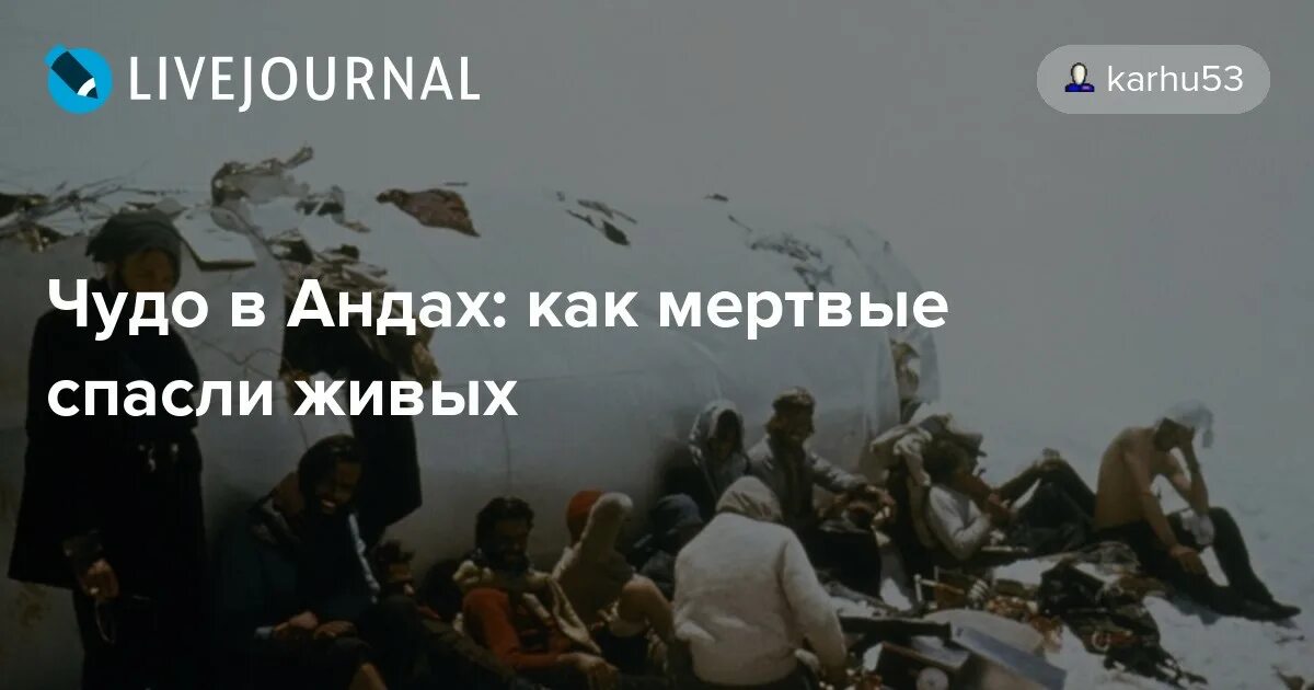 Остаться в живых чудо в Андах. Живые история спасшихся в Андах.