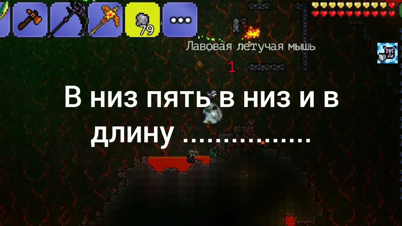 Террария эссенция ночи. Эссенции террария. Эссенция прозрения террария. Эссенция света в террарии. Эссенция тьмы террария.