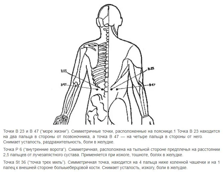 Точечный массаж спины. Точки акупунктуры при боли в пояснице. Точки акупунктуры при болях в спине. Акупунктурные точки на спине. Биологически активные точки на спине.