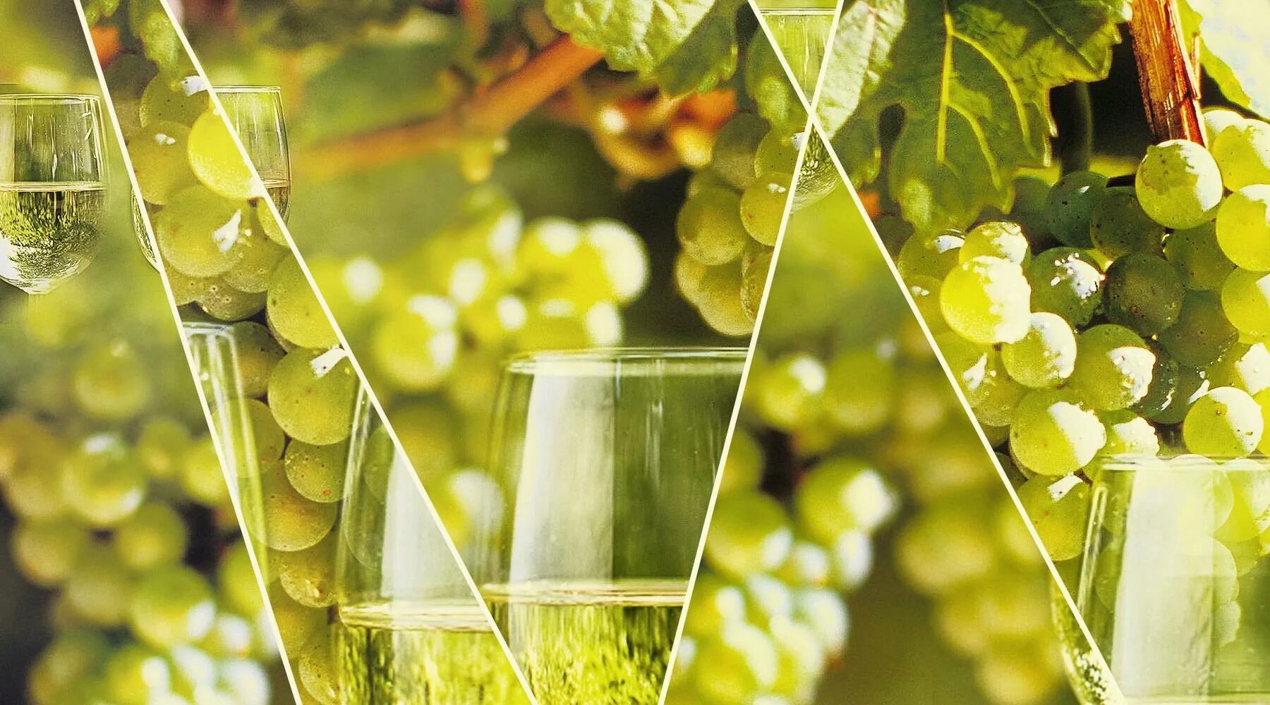 Белое вино сорт рислинг. Вино с виноградом рислинг. Рислинг вино. Рислинг драй. Сорта белого вина рислинг вино.