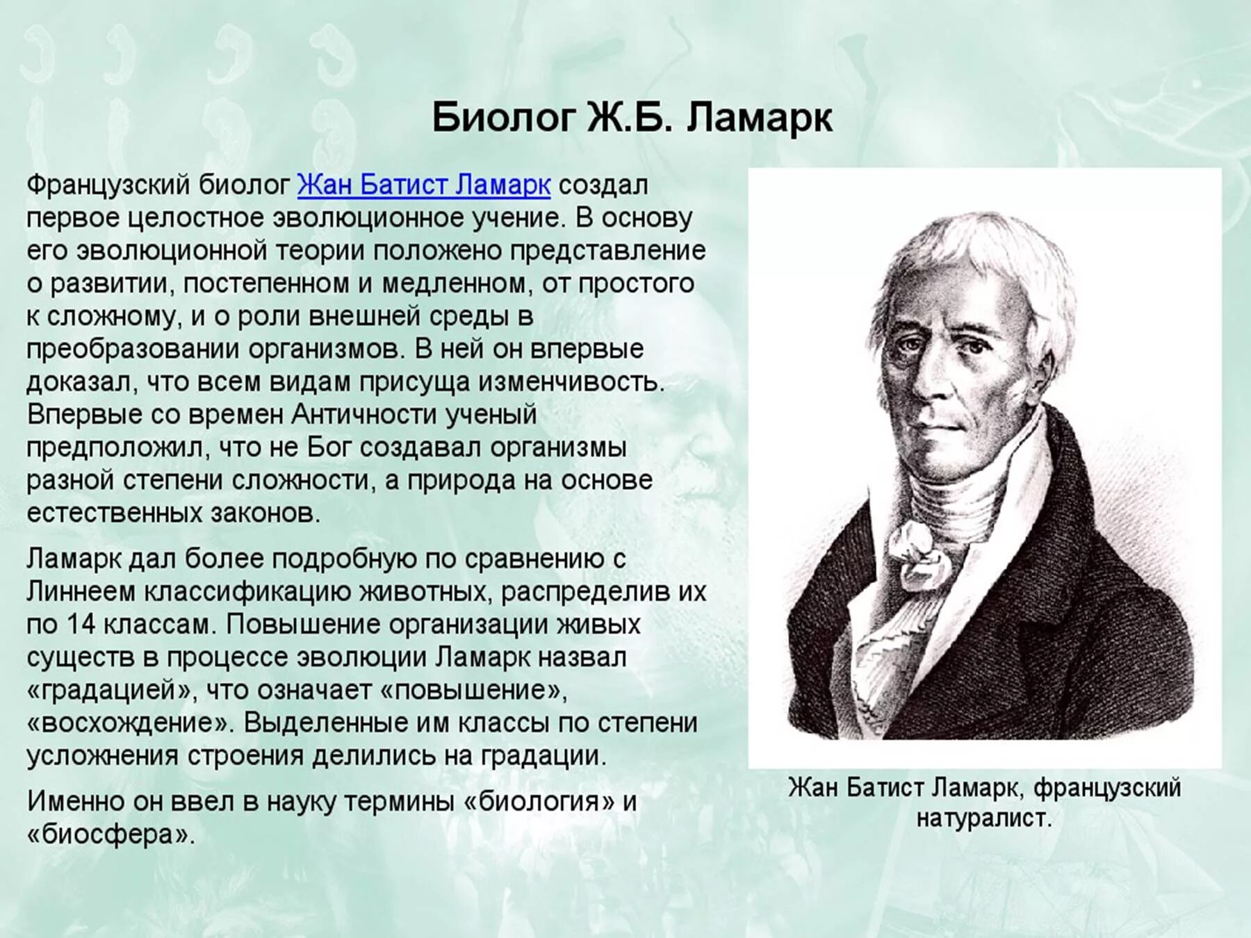 Аристотель ж б ламарк. Эволюционные идеи в додарвиновский период. Развитие эволюционных идей в додарвиновский период. Взгляды на эволюционный процесс в додарвиновский период. Развитие эволюционных представлений в додарвиновский период.