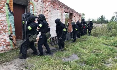 История собра