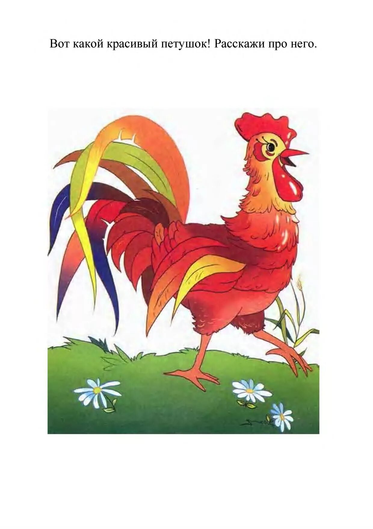 доклад о петухе. галльский петух рассказывает. петух рассказывает. петух рассказывает. сказки галльского петуха.