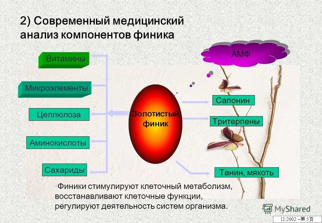 Состав фиников микроэлементы. Финике. Финики микроэлементы. Химический состав зизифуса. Финики витамины и микроэлементы таблица.