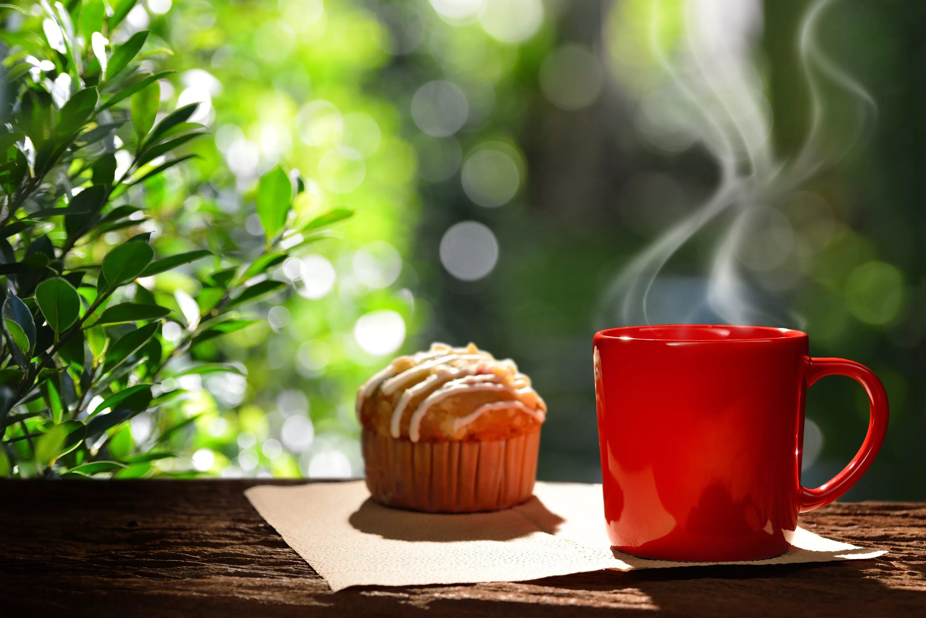 Красивое утро. Утро кофе. Чашка чая на природе. Прекрасного утра.