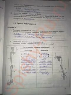 Биология 8 класс драгомилов маш практическая работа