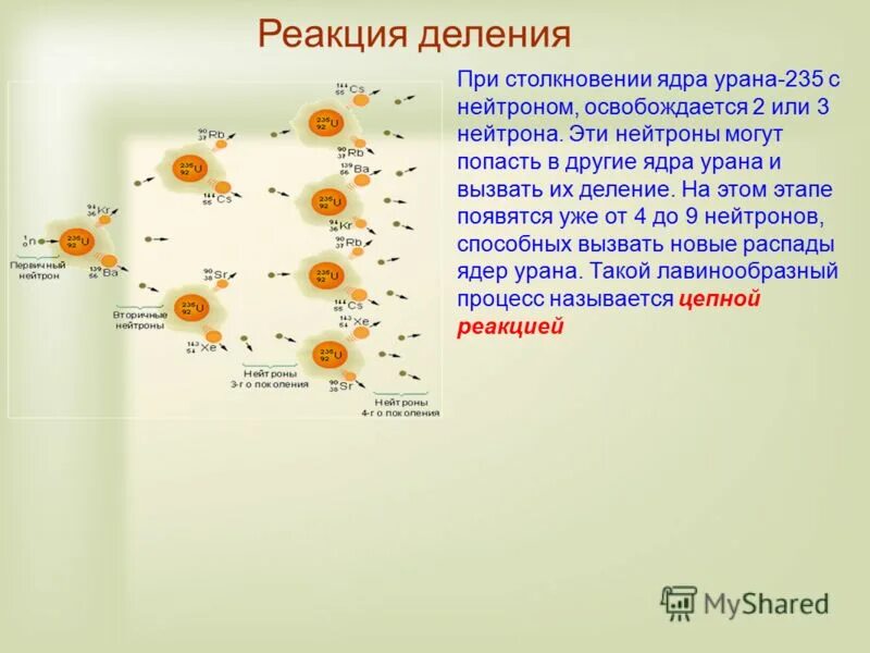 Цикл распада урана 235. Деление ядра урана 238. Ядерное деление урана 235. Цепная реакция деления ядра урана ядерная энергетика. Сколько ядер урана 235.