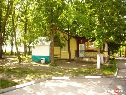 Зеленая поляна алтайский