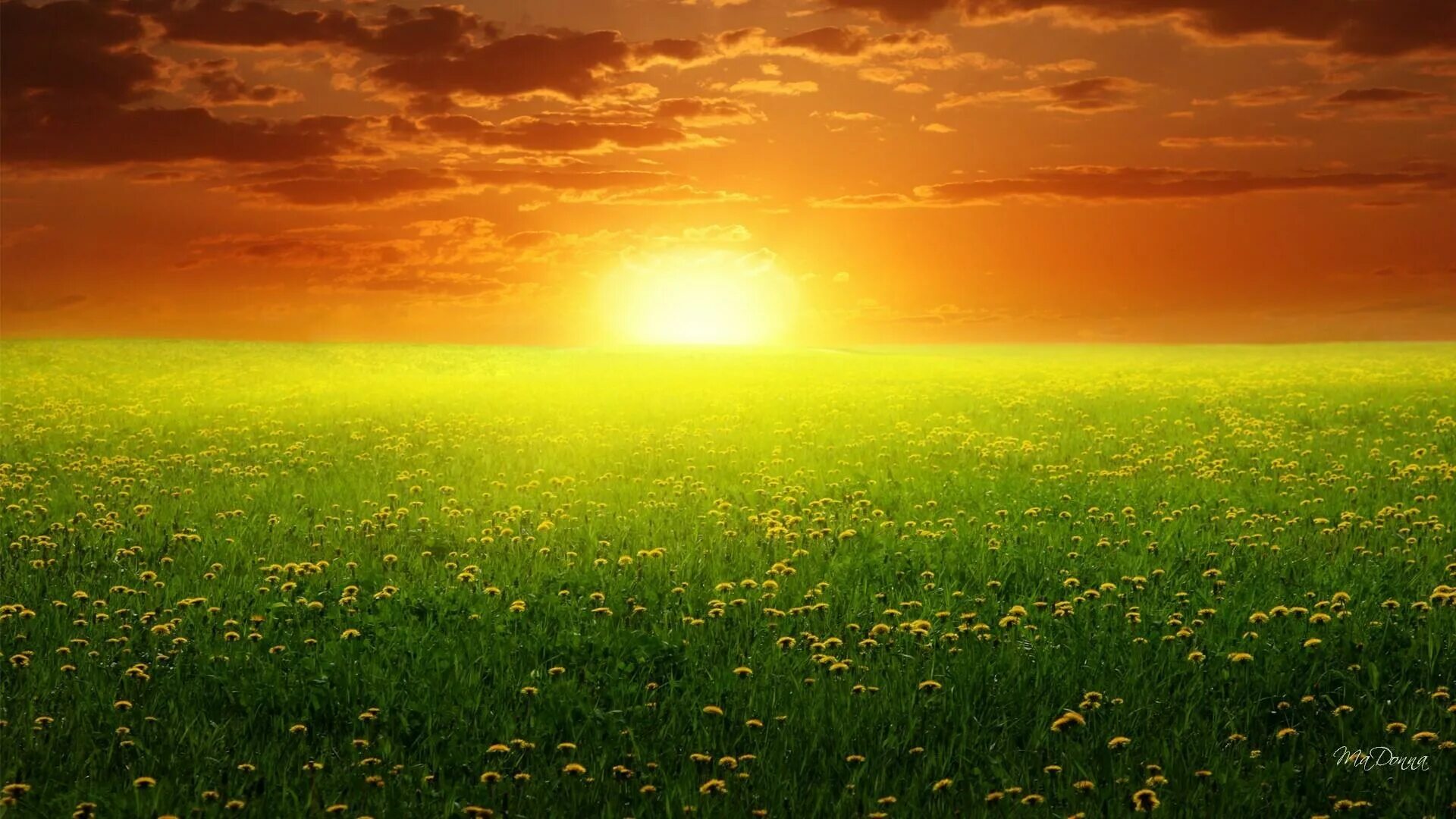 Green apelsin на небесах. Рассвет солнца. Красивое солнце. Природа солнце. На Восходе солнца.