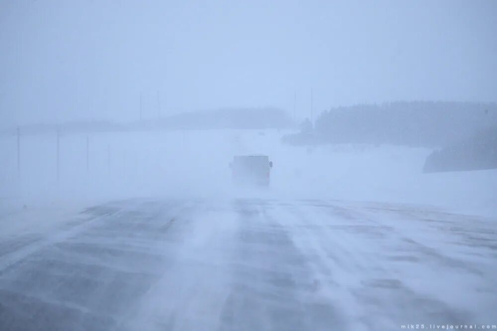 Во время пурги. Метель. Сильный туман на дороге. Сильная метель Снежная буря. Метель в городе.