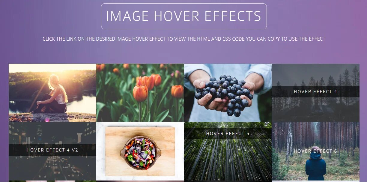 Bootstrap hover. Image hover effect. hover bootstrap. codepen gallery hover effect.