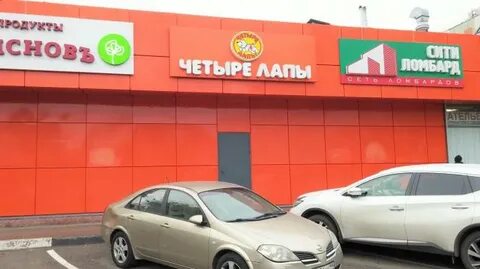 4 лапы режим