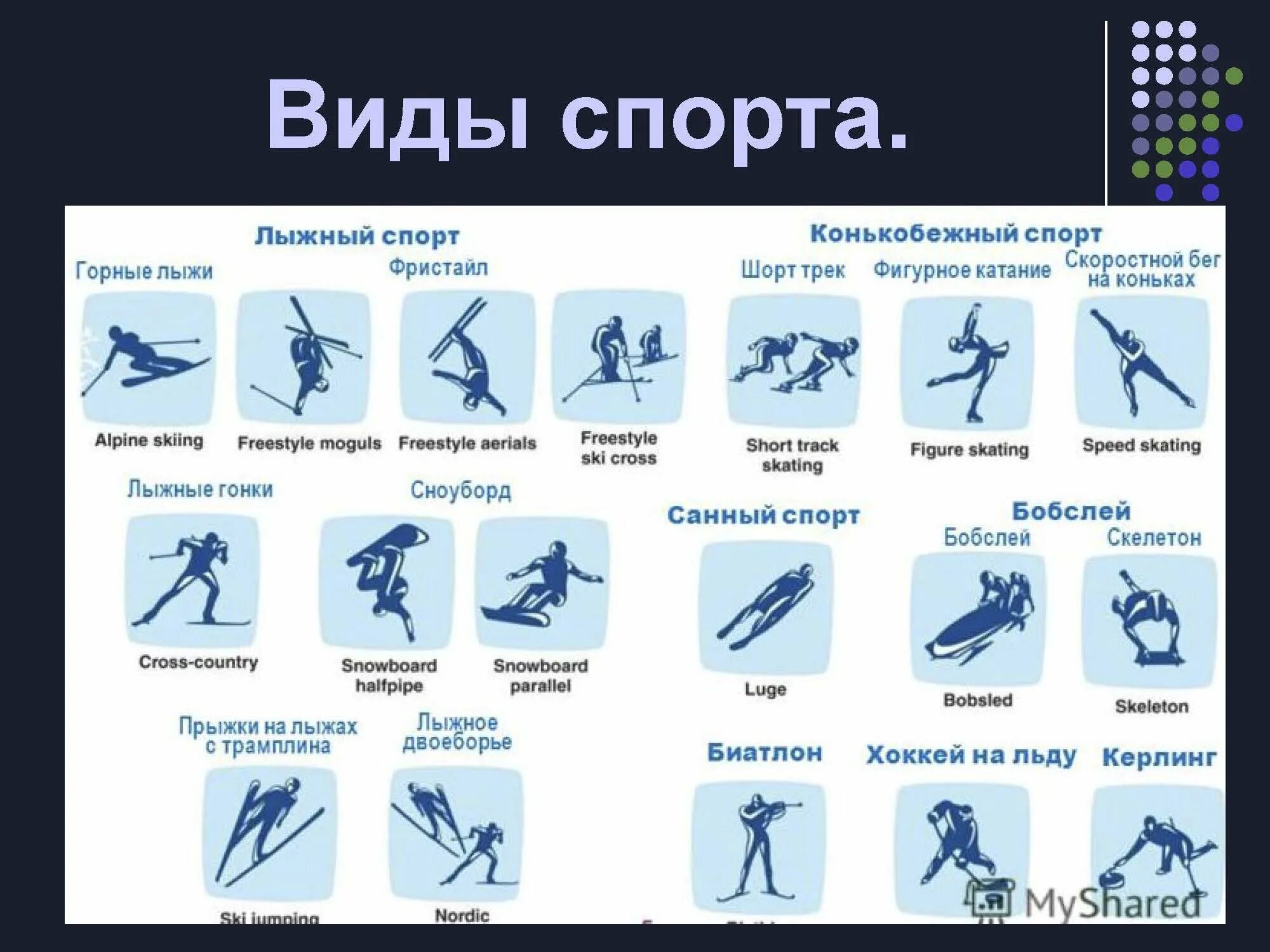 Сколько летних и зимних олимпийских игр. Виды спорта. зимние виды спорта. виды зимних видов спорта. виды спорта названия.