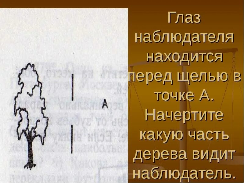 Глаз наблюдателя находится перед щелью в точке а. Какую часть дерева видит наблюдатель. Определите точку в которой должен быть расположен глаз наблюдателя. Наблюдатель сидит на верхушке дерева